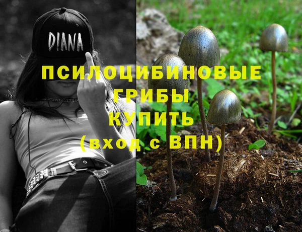 ПСИЛОЦИБИНОВЫЕ ГРИБЫ Тобольск